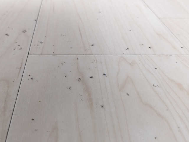 ゴミだらけのフローリングの画像