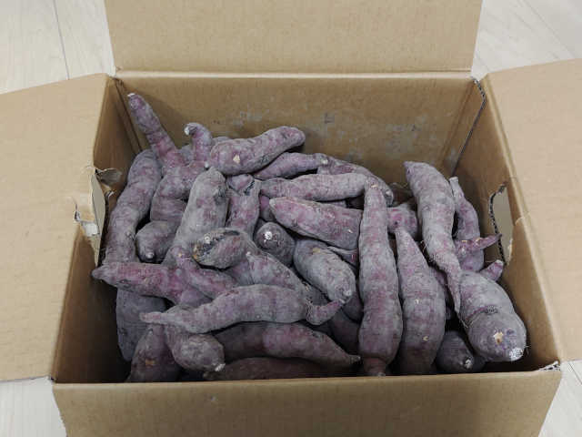 こいもあまいもの画像